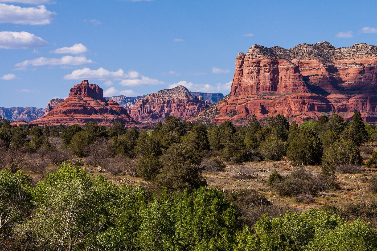 Bell Rock and Courthouse Butte near the Village of Oak Creek, Sedona, with juniper and desert scrub in the foreground