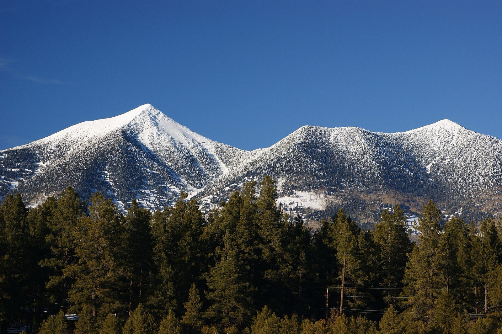 The San Francisco Peaks above Flagstaff, Arizona, covered in snow above a dark pine forest